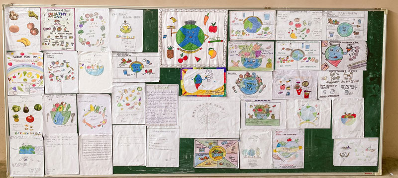 Native Foodscape Foundation