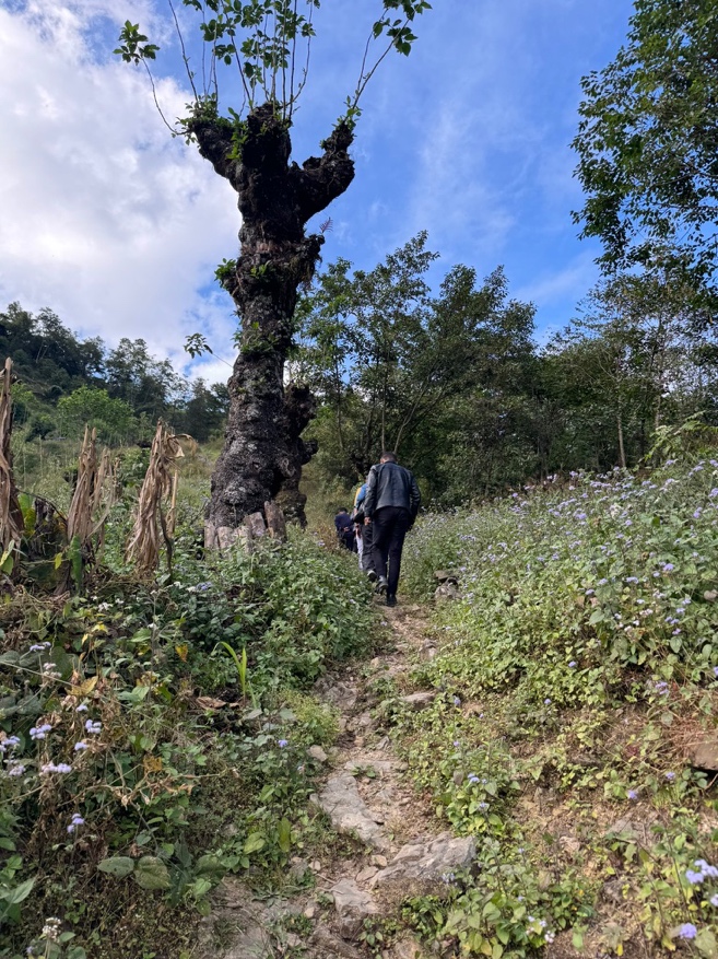 Native Foodscape Foundation