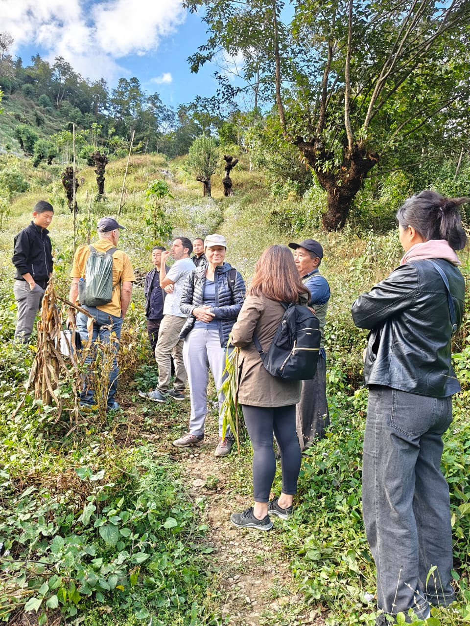 Native Foodscape Foundation