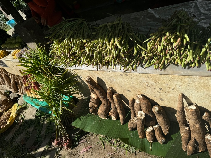 Native Foodscape Foundation