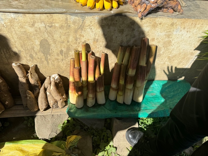 Native Foodscape Foundation