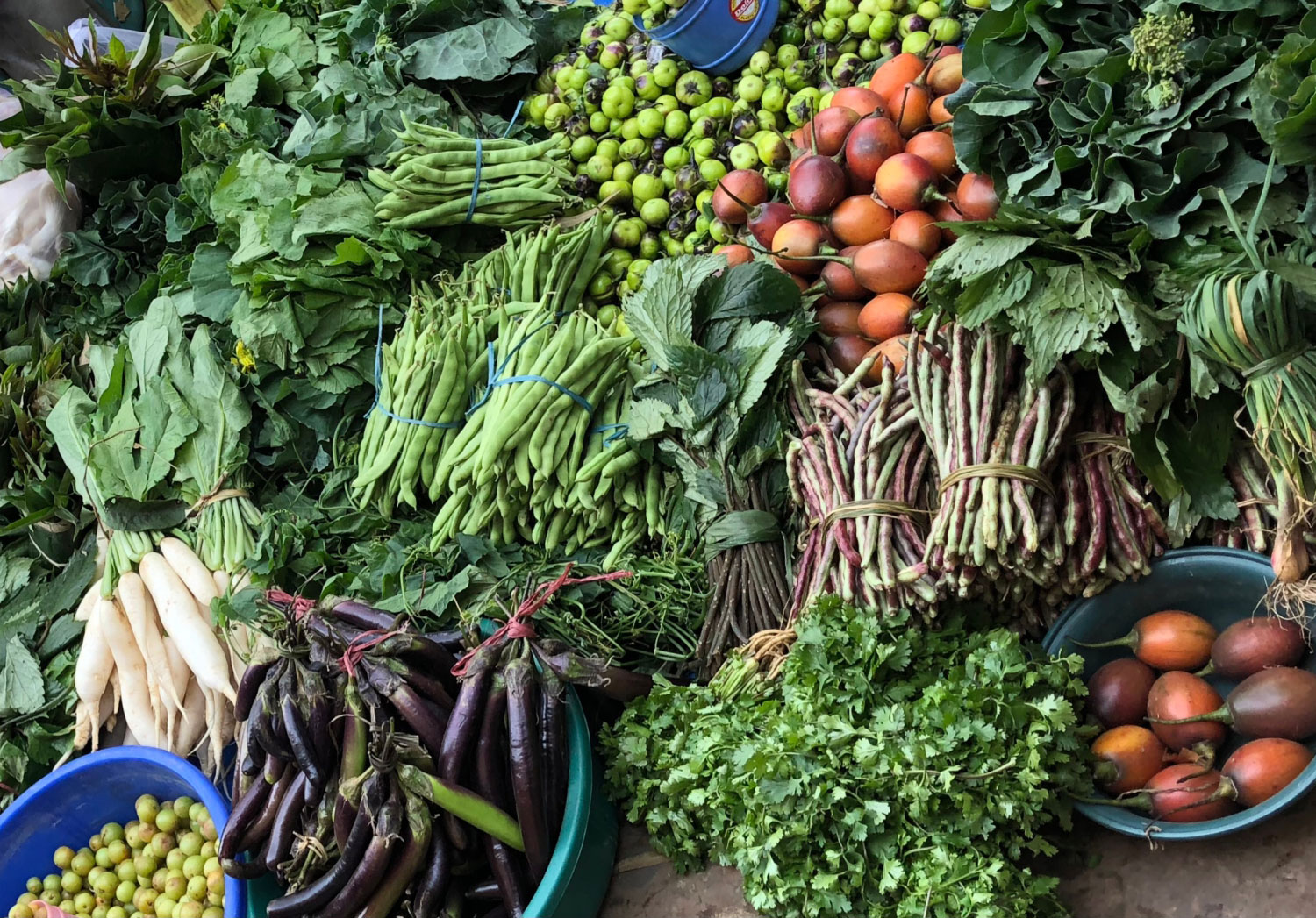 Native Foodscape Foundation