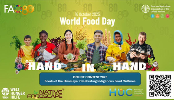 Native Foodscape Foundation